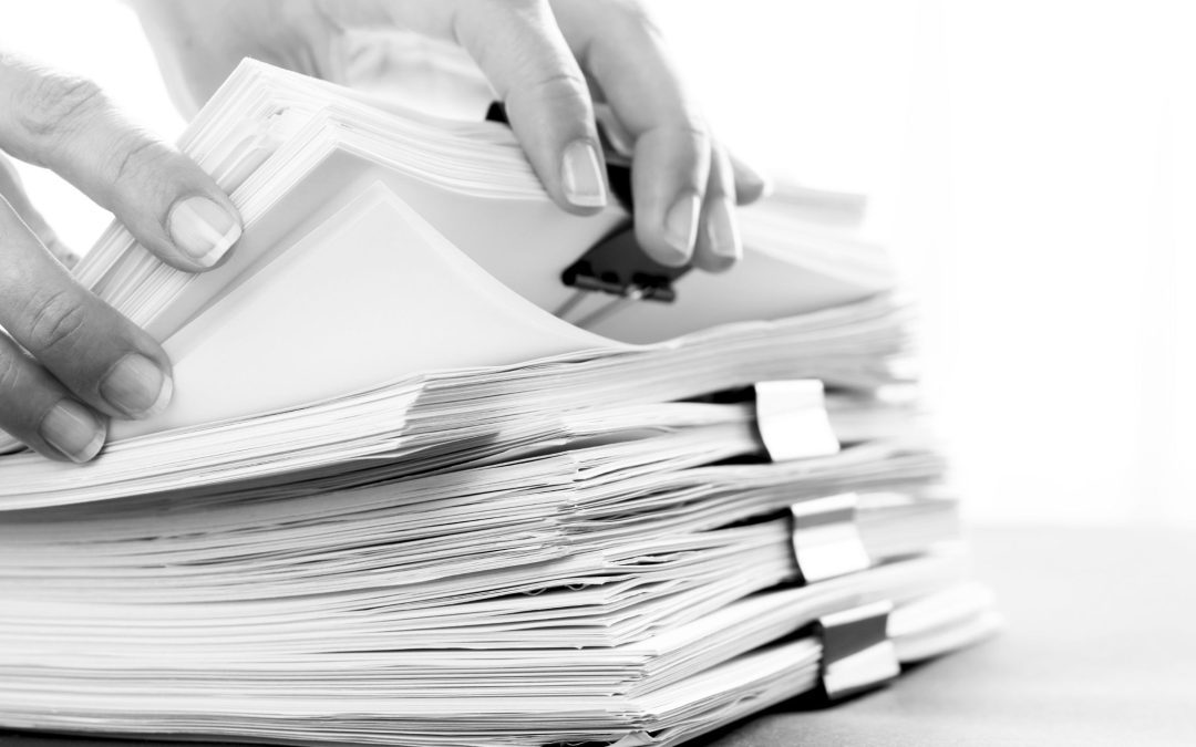 Ședința Plenului CES (19.03.2025): Proiecte din domeniile mediu, fiscalitate, umanitar, penal, asistență socială, administrație publică