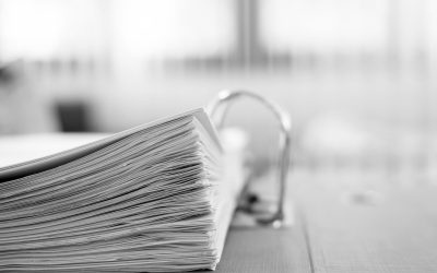 Proiecte de acte normative pentru ședința Plenului din 26.02.2025: Proiecte din domeniile administrație publică, social, energie