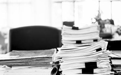 Proiecte de acte normative pentru ședința C8 din 10.03.2025: Proiecte din domeniile educație, social, mediu, sănătate, penal, energie, administrație publică