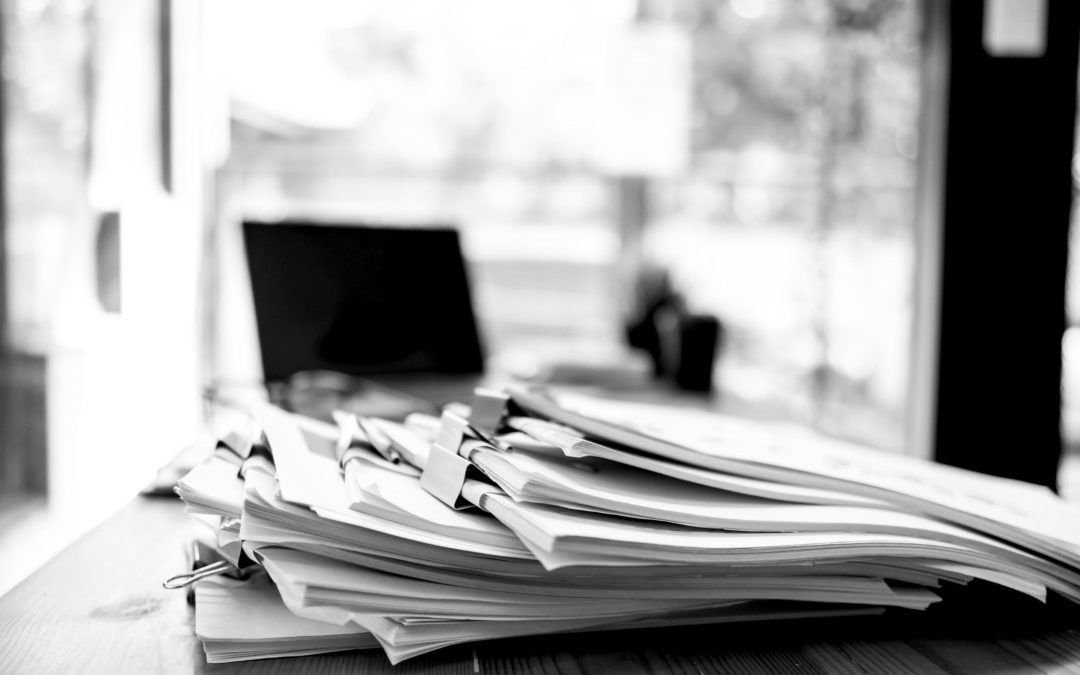 Ședința Plenului CES (26.02.2025): Proiecte din domeniile educație, social, energie și administrație publică