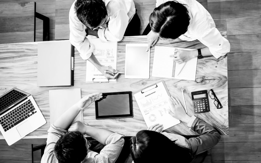 Ședința C8 (31.01.2025): Bugetul de stat