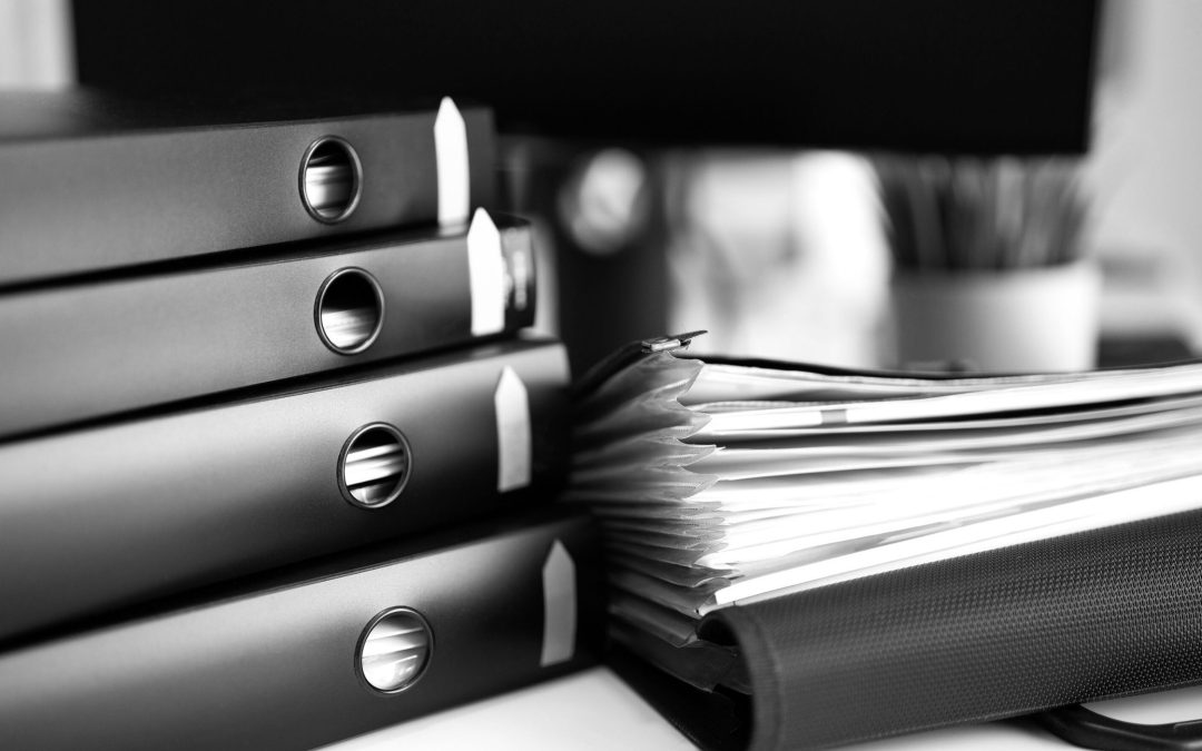 Ședința Plenului CES (12.02.2025): Proiecte din domeniile administrație publică, muncă, penal și educație