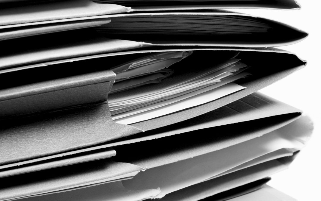 Ședința Plenului CES (05.02.2025): Proiectul de organizare și funcționare a MEDAT, precum și bugetul CES și procedura de numire a SG-ului CES