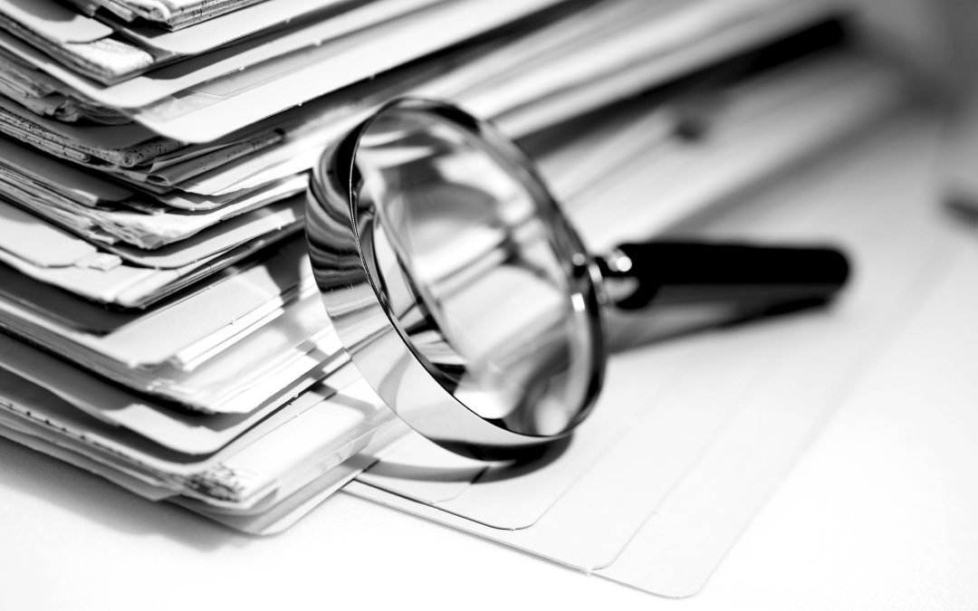 Ședința Plenului CES (27.02.2025): Proiecte din domeniile social, energie și administrație publică