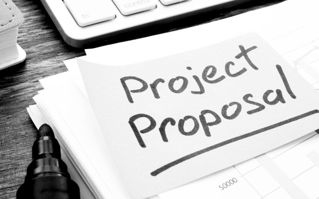 Proiecte de acte normative pentru ședința C5 din 18.03.2025: Proiecte din domeniile fiscalitate, penal, social, energie, administrație publică